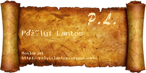 Pályi Lantos névjegykártya